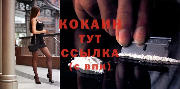 mdpv Ельня