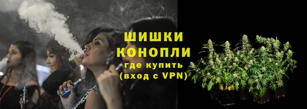 стафф Заводоуковск