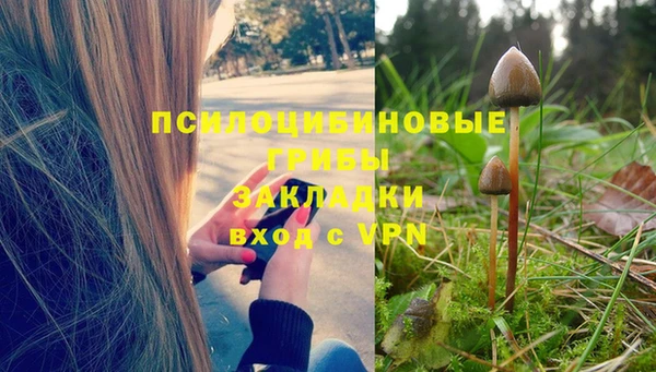 MDMA Заволжск