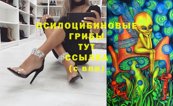 стафф Заводоуковск