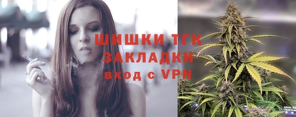 стафф Заводоуковск