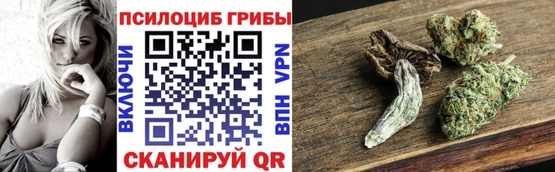 что такое   Козельск  Галлюциногенные грибы ЛСД 